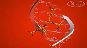Дело жизни. Пептиды Хавинсона.