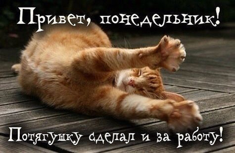 Доброе Утро! Легкого  Понедельника