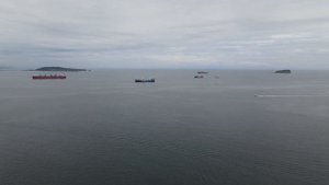Электронные ПТС - таможня встала! Полная Ж! ЭПТС