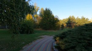 286. Украина (Ukraine) село Иванковичи (укр.Іванковичі) Киевской области (Качество 4 K)