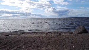 Чудское озеро Ветвеник