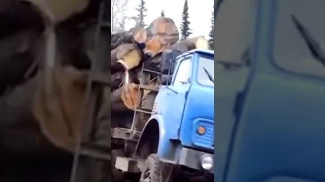 МАЗ ПОЛНАЯ ЗАГРУЗКА #shorts #грязь #offroad #маз #лес #работа #бездорожье