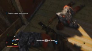 Совместная игра в Far Cry 4