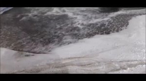 Профессиональная стирка ковров от Индустрии чистоты