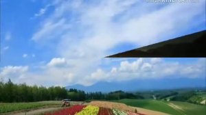 Клип надо поле притоптать