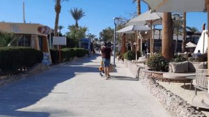 Обзор на отель Sharm Dreams Resort. Шарм-эль-Шейх январь 2023 .Египет
