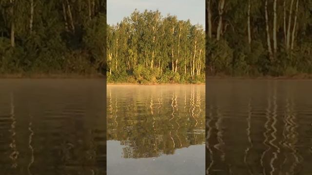 лось переплывает Рузу 2018 год смотреть онлайн