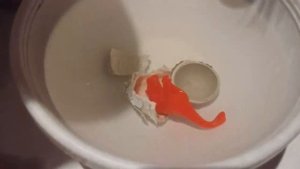 ДИНОЗАВР ВЫЛУПИЛСЯ ИЗ ЯЙЦА ВЫРАЩИВАЕМ ДИНОЗАВРА В ВОДЕ