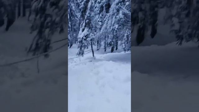 в парке Долина Водопадов (2 часть)