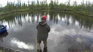 АТАКА ТАЙМЕНЯ на воблер. Счастливые люди Сибири. Рыбалка на Севере.
