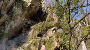 Голышом Купаемся с Русалками в Горной Холодной Реке в Декабре. Сочи. Лазаревское. Мамедово ущелье