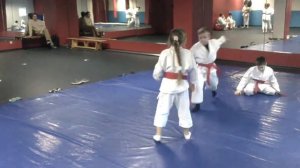 Мытищи Айкидо (РОИЯКС)