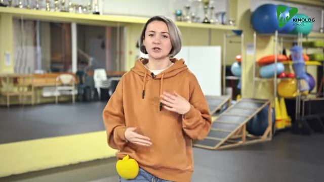 Как научить щенка команде КО МНЕ. Дрессировка собак с Антониной Зимаревой.
