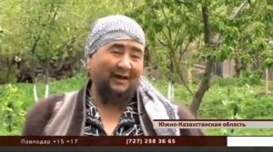 Шок. Бородатая женщина