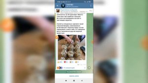 Как подписаться на канал в Телеграме? Как подписываться на каналы в Telegram?