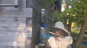 бесконтактное пчеловодство