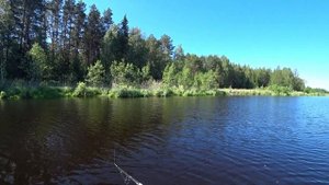 Щука разная клюет в июне,рыбалка на спиннинг 24 06 2020