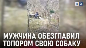Мужчина в Сочи зарубил, а затем сварил свою собаку