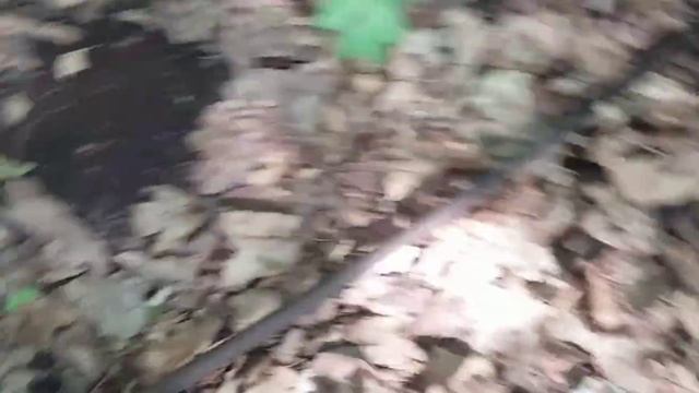 ищу металл в татарстане_Коп метала с хорошим результатом_ мд4030. смотреть онлайн