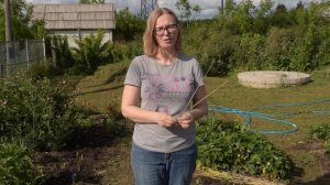 ОПОРА для КЛУБНИКИ __ Чтобы ягоды не лежали на земле.mp4