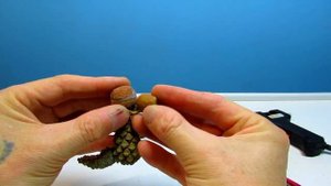 Простая поделка из шишек и желудей в садик ! Динозаврик Дино.