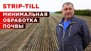 Технология strip-till | Минимальная обработка почвы | Технологии растениеводства