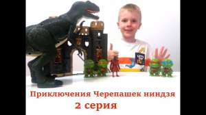 Черепашки ниндзя.Приключения Черепашек ниндзя.2 серия _Как спасти Донателло и Микеланджело_.