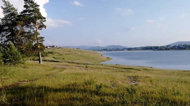 Собираем тимьян-чабрец смотреть онлайн