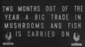 Старая Дореволюционная Москва На Уникальном Видео 1908 Года.