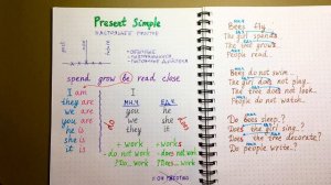 Present Simple БОЛЬШЕ НЕ ОШИБЁТЕСЬ I английская грамматика I Урок 2