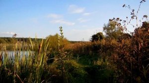 Осенний Окунь на микро джиг