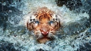 ВЫЖИТЬ ЛЮБОЙ ЦЕНОЙ. ВНУТРЕННИЙ ЗВЕРЬ. РИТУАЛ ДЛЯ СМЕЛЫХ. ВЕДЬМИНА ИЗБА ИНГА ХОСРОЕВА.mp4