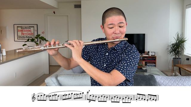 Gariboldi Flute Etude Op. 132, No. 1 "Moderato e tranquillo" смотреть онлайн
