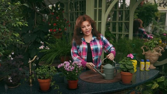 Жидкое удобрение "Агрикола" для комнатных цветов смотреть онлайн