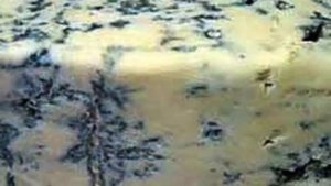 Почему стоит есть сыр с плесенью? Польза или вред для организма?