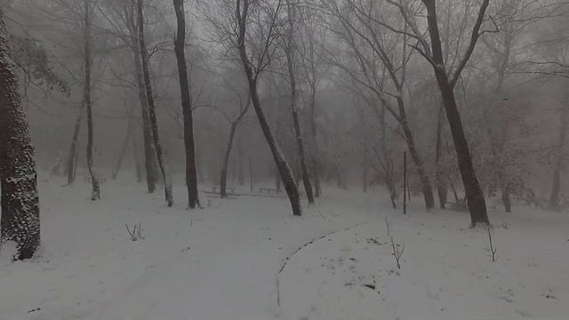 Первый снег в Ставрополе. Идём смотреть зимнюю Ореховую рощу.
