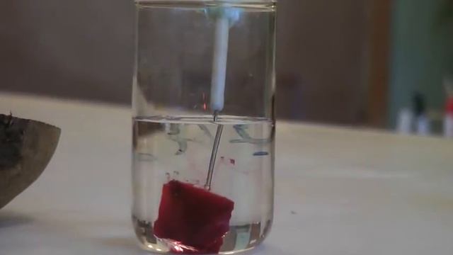 Выход воды из тканей свёклы смотреть онлайн