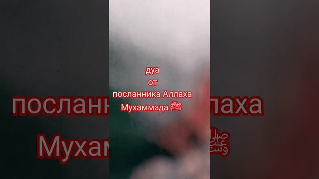 пророк Мухаммад ﷺ, дуа ? мольба перед сном ?