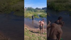 Востонавливаем уровень реки, сломали бобровые плотины