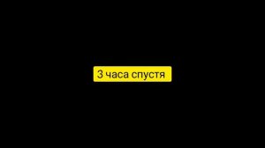 Сумасшедшая скорость Бордер Колли!