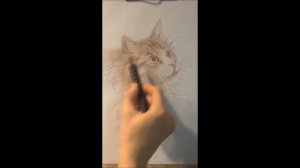 Как научиться рисовать кошку. How to lean to draw a cat.wmv