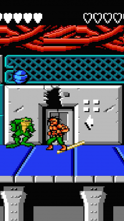 Battletoads & Double Dragon