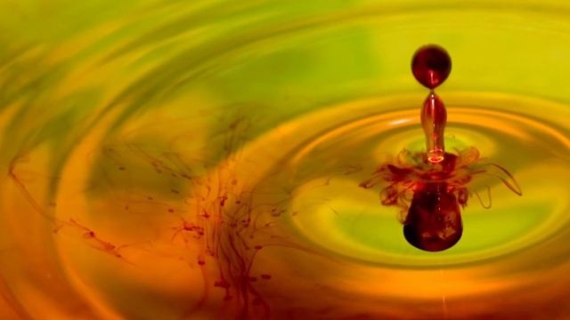 Одна капля и ваши комнатные цветы обильно зацветут! смотреть онлайн