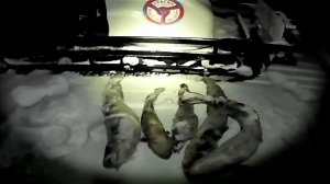 УРАГАН-УНИВЕРСАЛ \ Первый выезд \ Рыбалка на НАЛИМА \ Отличный улов