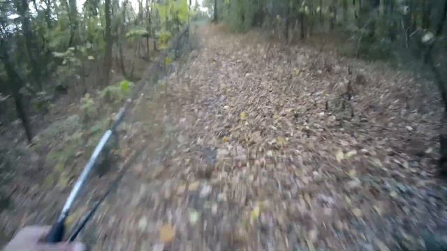 Осенние окуньки на каждом забросе. Рабочая проводка на окуня по осени смотреть онлайн