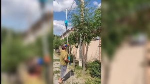 Работа с Высоторезом / Gardena / высоторез #стрижка #высотныеэлектокустарез #кустарез