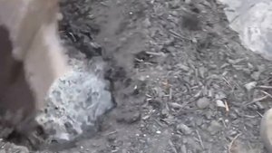 Новый метод посадки картошки. Посадка картошки 2016