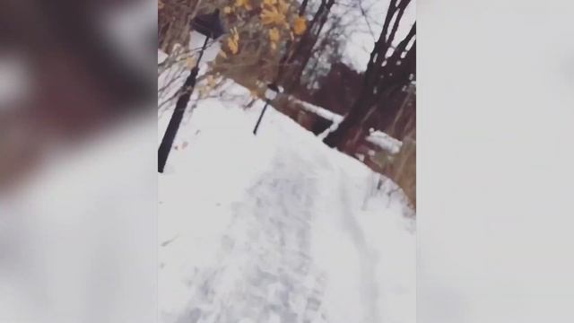 Максим и Гарри Галкины: «Домашняя гоночная трасса БобШнель!» смотреть онлайн