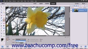 Photoshop Elements 15 Tutorial The Sponge Tool Adobe Training