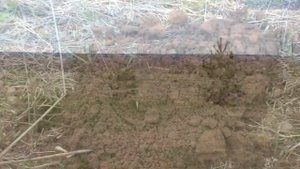 Дмитрий Мусихин "По старому тракту в поисках золота."